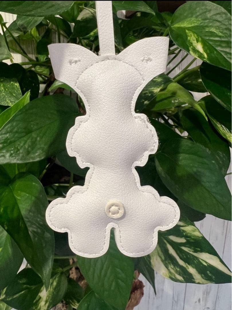 在庫処分　グレー　黒　ミニチュアシュナウザー2個セット　肉球2個付き